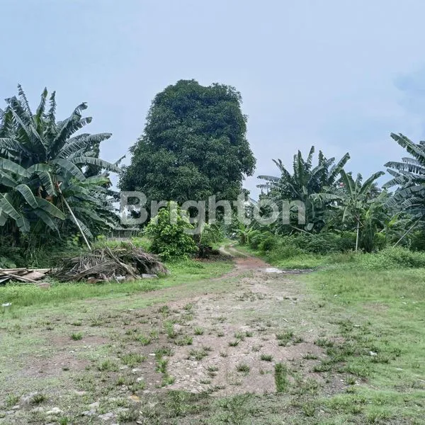 image LAHAN PINGGIR JALAN CIMANGGIS DEPOK (4)