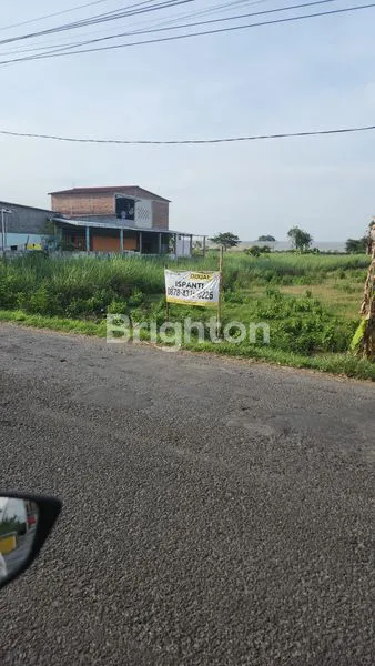 TANAH KOSONG DI MOJOSONGO