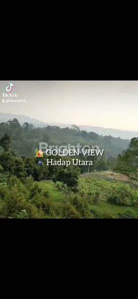 image TANAH VILA PACET - TRAWAS (5)