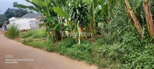 image DIJUAL TANAH SIAP BANGUN DI PINGGIR JALAN KAMPUNG DI DAERAH PARUNG - KEMANG - BOGOR. (4)