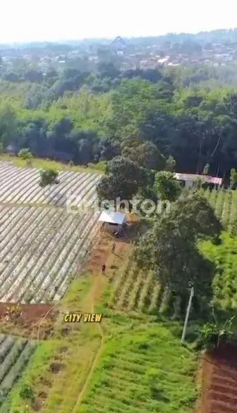 image TANAH DARAT / KEBUN ,PARAKAN MUNCANG CICALENGKA CIMANGGUNG RANCAEKEK SUMEDANG, JAWABARAT  (5)