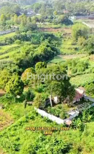 image TANAH DARAT / KEBUN ,PARAKAN MUNCANG CICALENGKA CIMANGGUNG RANCAEKEK SUMEDANG, JAWABARAT  (7)