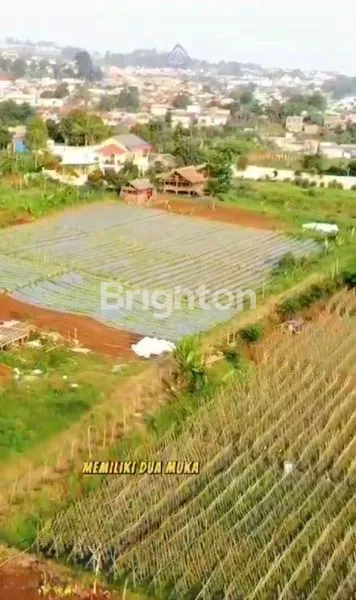 image TANAH DARAT / KEBUN ,PARAKAN MUNCANG CICALENGKA CIMANGGUNG RANCAEKEK SUMEDANG, JAWABARAT  (4)