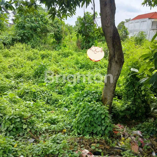 image LAHAN SIAP BANGUN NOL RAYA HULAAN (1)