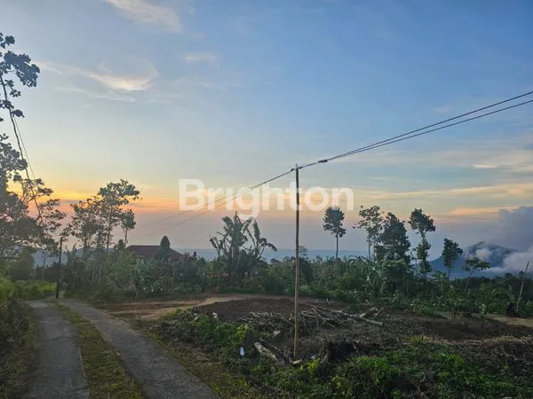image TANAH VIEW BUKIT DI AREA BULELENG (3)