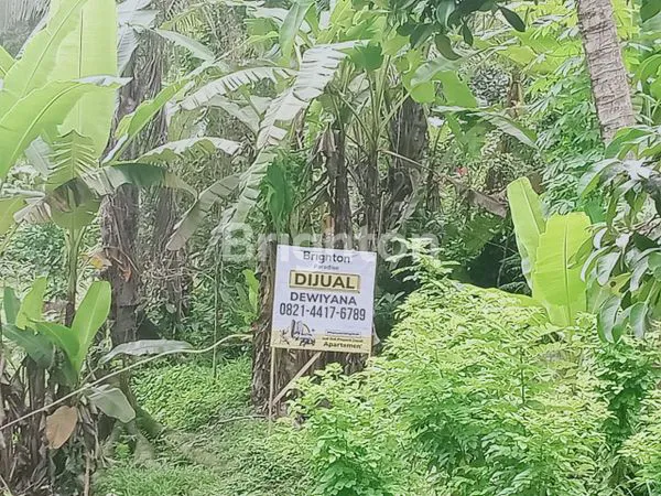 TANAH MURAH DEKAT WISATA AIR TERJUN SELEMADEG TABANAN