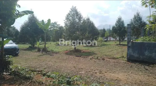 image TANAH KAVLING JUAL CEPAT MURAH CIBADAK (7)