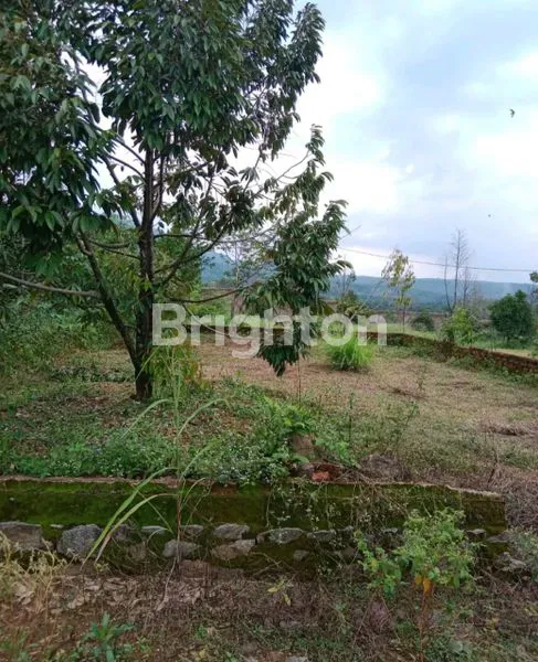 image TANAH KAVLING JUAL CEPAT MURAH CIBADAK (1)