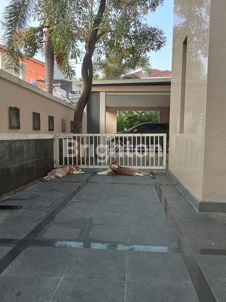 image RUMAH MEWAH CANTIK SIAP HUNI (4)