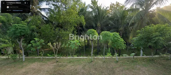 image TANAH LKS PCITAN, ROW JALAN 8 METER, CCK UNTUK OBJEK WISATA, TAMBAK DLL (2)