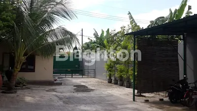 image GUDANG KUTILANG (2)