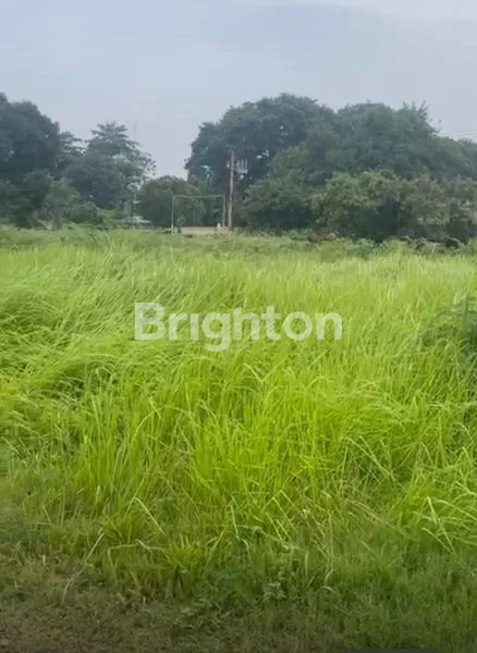 image DIJUAL!! KAVLING KAWASAN INDUSTRI DI BATU CEPER TANGERANG (1)