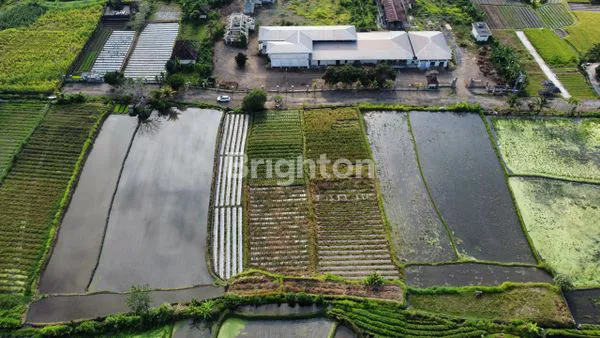 LAHAN LUAS VIEW SAWAH , COCOK UNTUK GUDANG ATAU SEKOLAH , LOKASI DI TEMESI,GIANYAR