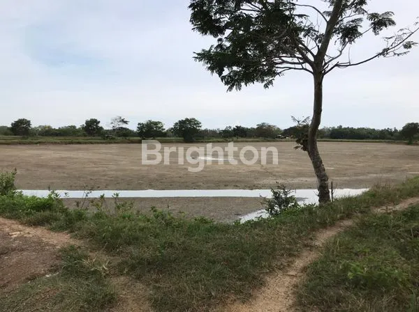 TAMBAK UDANG AKTIF LENGKAP PERALATAN DI DUSUN BANGTIMURAN, BLEGA BANGKALAN