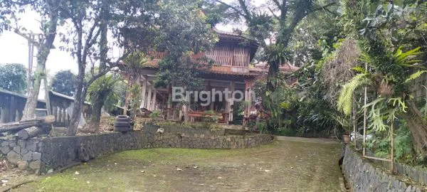 image RUMAH JOGLO ANTIK FULL JATI DENGAN VIEW SANGAT INDAH DI SENTUL BOGOR (1)