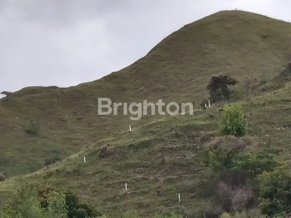 image KAVLING DI LABUAN BAJO VIEW GUNUNG DAN PANTAI EXOTIC COCOK UNTUK RESORT, DAN HOTEL (3)