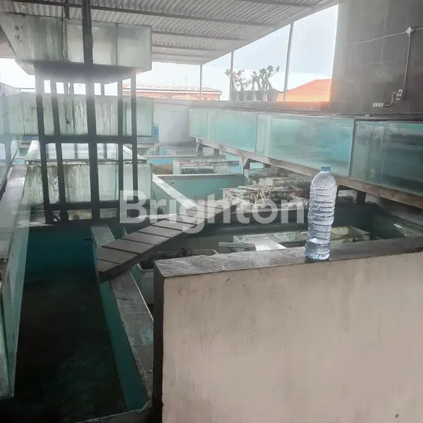 image RUMAH TULUNGAGUNG, SURABAYA (4)