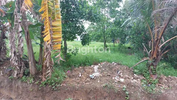 image DISEWAKAN TANAH KOSONG, LOKASI STRATEGIS DI DAERAH KOTA (4)