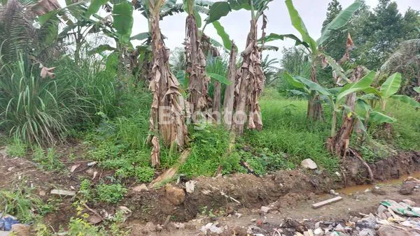 image DISEWAKAN TANAH KOSONG, LOKASI STRATEGIS DI DAERAH KOTA (7)