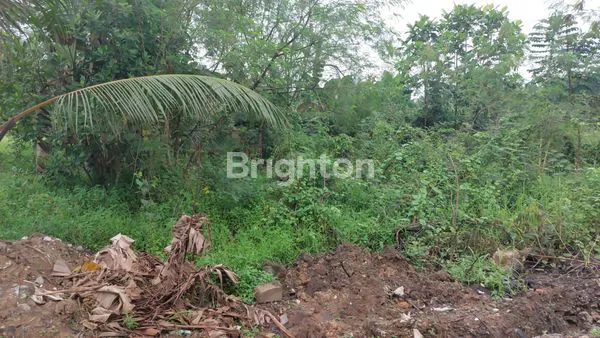 image DISEWAKAN TANAH KOSONG, LOKASI STRATEGIS DI DAERAH KOTA (2)