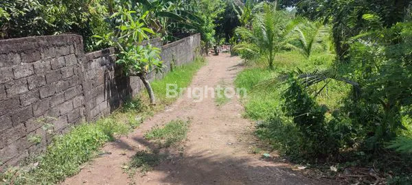 image TANAH DIJUAL AREA BADUNG MENGWI BALI (2)
