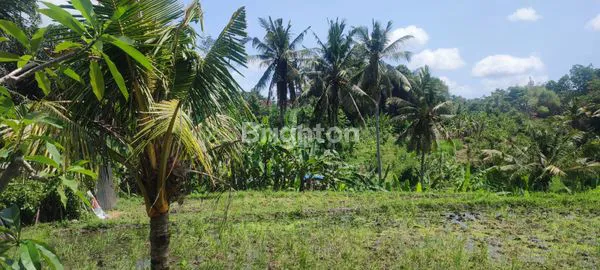 image TANAH DIJUAL AREA BADUNG MENGWI BALI (3)