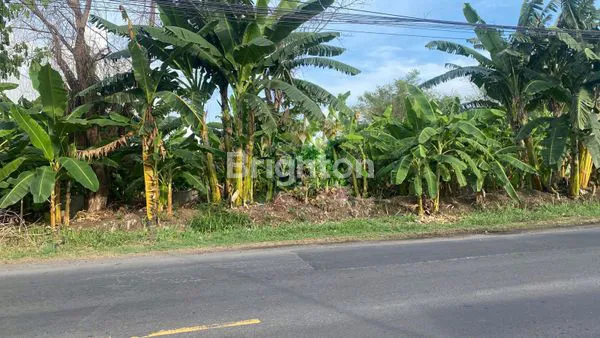 image TANAH AREA MENGANTI GRESIK (1)