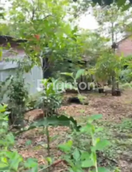 image FOR SALE - TANAH KAVLING DI MAGELANG (4)