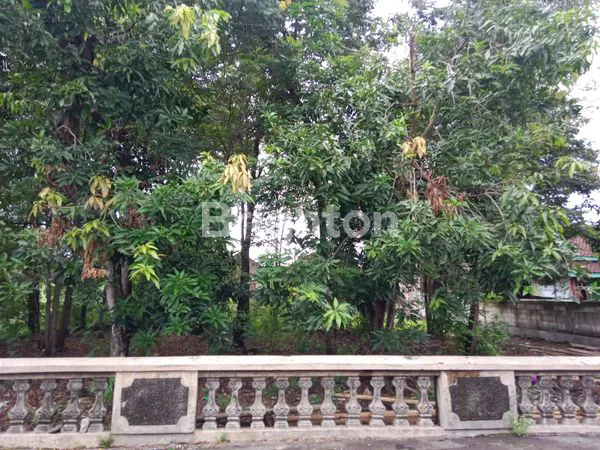 image TANAH INVESTASI DI RINGROAD MOJOSONGO (4)