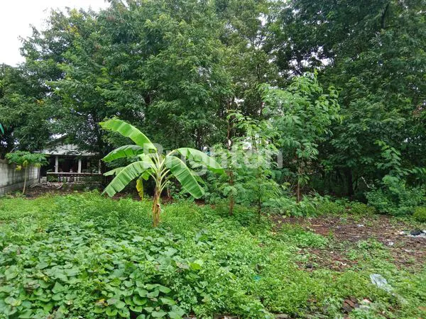 image TANAH INVESTASI DI RINGROAD MOJOSONGO (3)