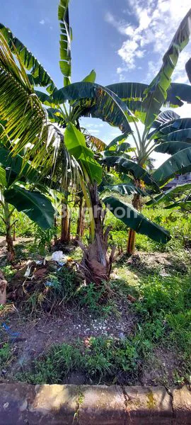 image TANAH KAPLING KAWASAN KOMERSIAL SOEKARNO HATTA  (4)