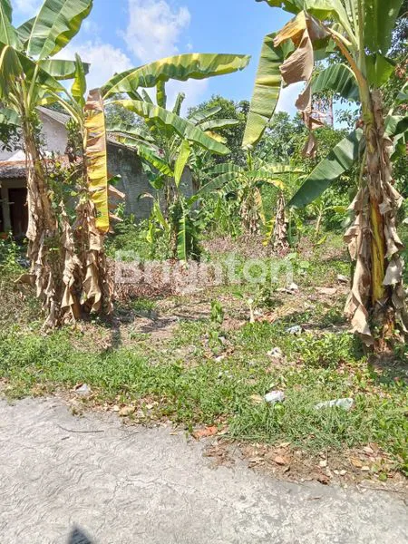 image TANAH INVESTASI DI KALASAN SLEMAN (1)