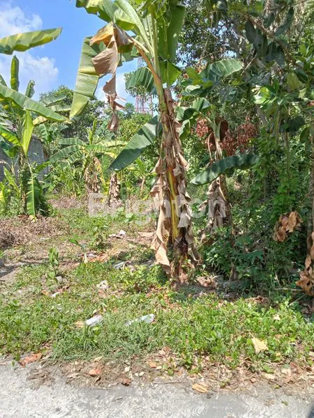 image TANAH INVESTASI DI KALASAN SLEMAN (2)