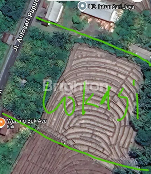 image TANAH 100 ARE DI JALAN RAYA PUPUAN TABANAN  (1)