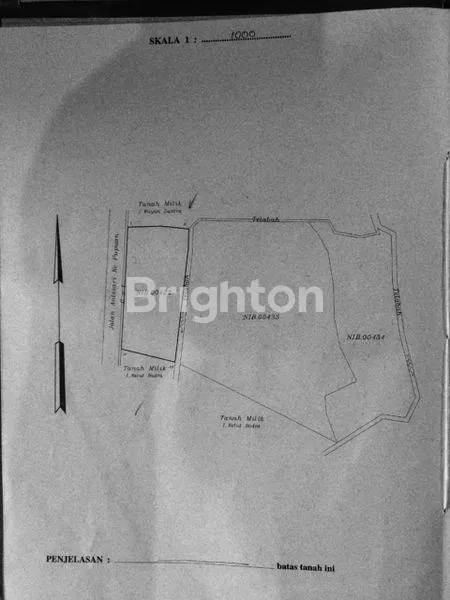 image TANAH 100 ARE DI JALAN RAYA PUPUAN TABANAN  (2)