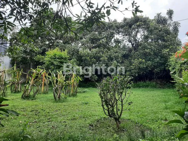 image RUKO DAN TANAH (4)