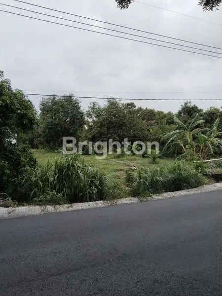 image TANAH DI DAERAH REMBANG KABUPATEN PASURUAN JAWA TIMUR (1)