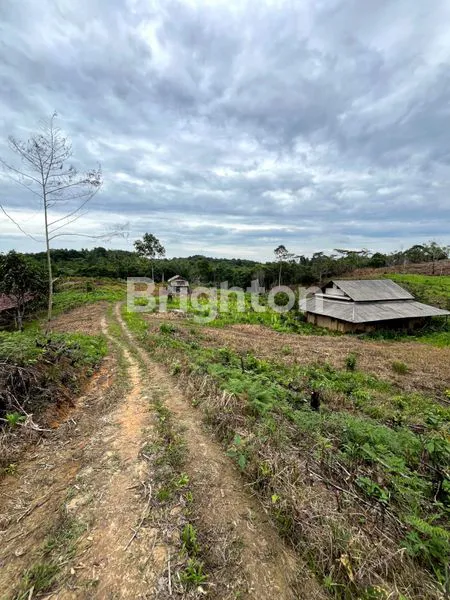 image DIJUAL TANAH DI KM 8 DEKAT STT MIGAS DAN PERUMAHAN EL FAZZA LAND (3)