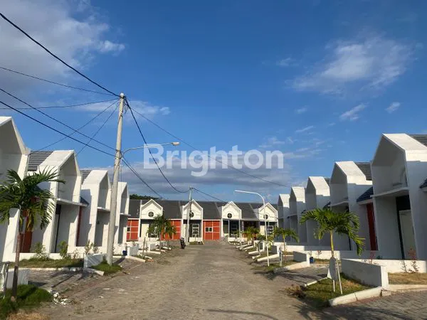 image GREEN MENGANTI  (3)