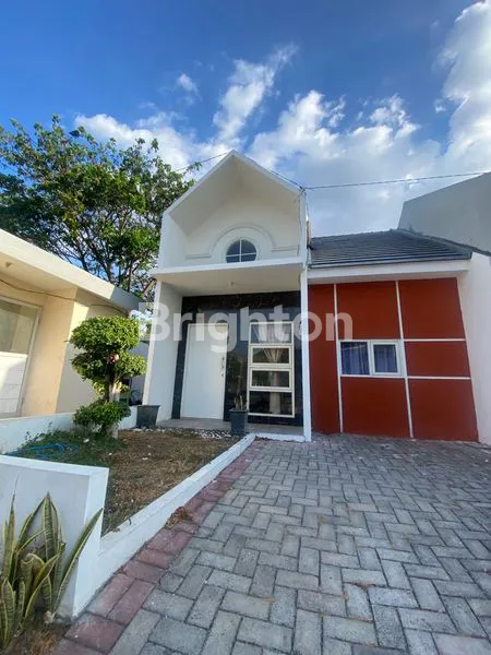 image GREEN MENGANTI  (5)