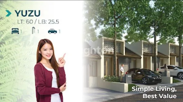 image YUZU - SPRINGHILL YUME GREEN (3)