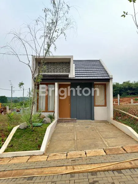 image YUZU - SPRINGHILL YUME GREEN (1)