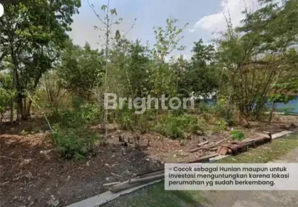 image TANAH STRATEGIS NGEMPLAK, DEKAT TOL & BANDARA (6)