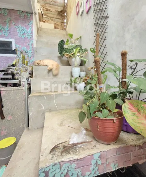 image HUNIAN CANTIK DIPERUM BALIKPAPAN REGENCY (4)