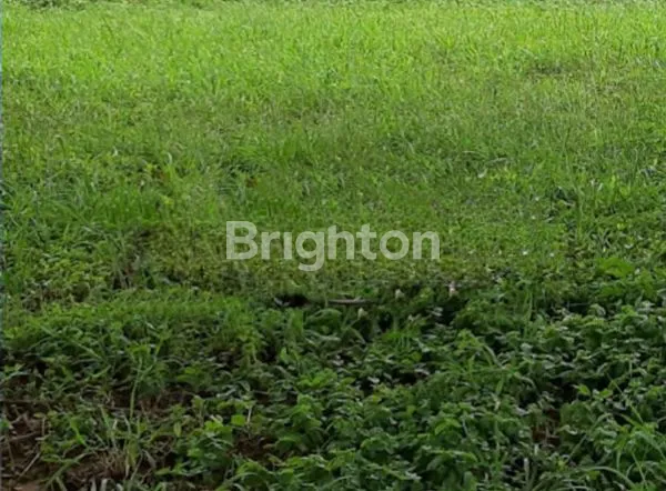 image GREENLAKE SINGAPORE CITRALAND TANAH KAVLING, SIAP BANGUN, DAN LOKASI STRATEGIS (2)