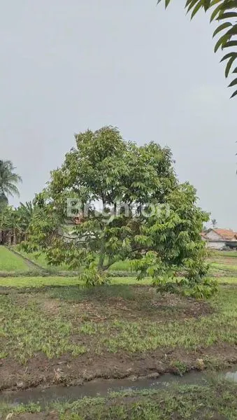 image TANAH KEBUN BUAH DEKAT BANDARA SOEKARNO HATTA (1)