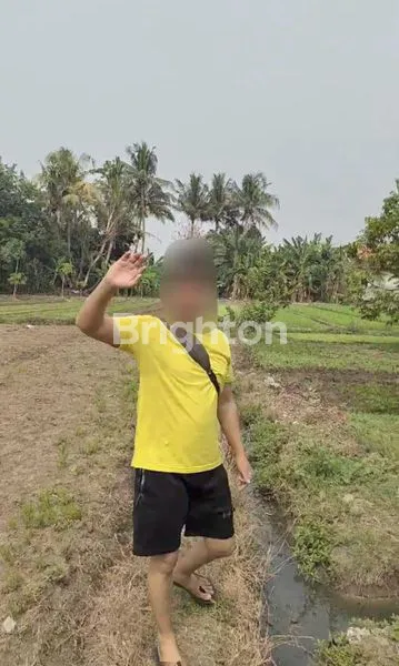 image TANAH KEBUN BUAH DEKAT BANDARA SOEKARNO HATTA (4)