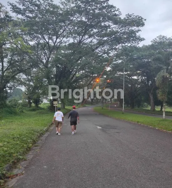 image ROYAL SUMATERA (3)