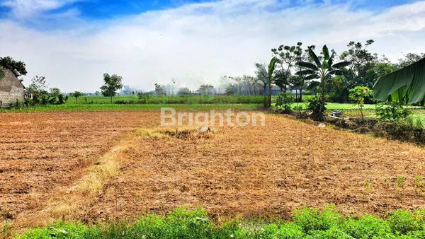 image TANAH COCOK DIBANGUN PERGUDANGAN/CLUSTER DI BABELAN, BEKASI (2)