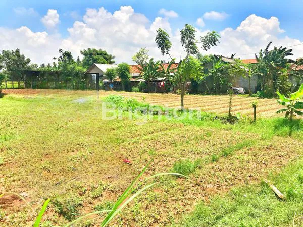 image TANAH COCOK DIBANGUN PERGUDANGAN/CLUSTER DI BABELAN, BEKASI (1)